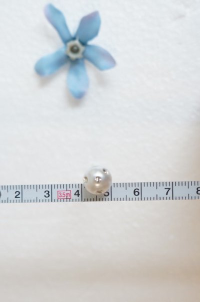 画像5: ヘッドドレス　セット　プルメリア　ブルースター　アジサイ　パール