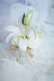 画像3: キャスケードブーケ　アーティフィシャルフラワー　カサブランカ　薔薇ホワイト　　小花等　スワロ　横幅（花のみ）28-30cm　　色違い可