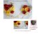 画像2: ヘッドドレス　セット　ミッキーシェイプ薔薇M（7－7，5cm）、ミニミッキーパールピン付き小枝アクセサリーとミニ薔薇等のセット　アーティフィシャルフラワー (2)